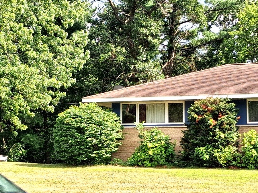 The Shelby House of Hope home surrounded by trees and greenery